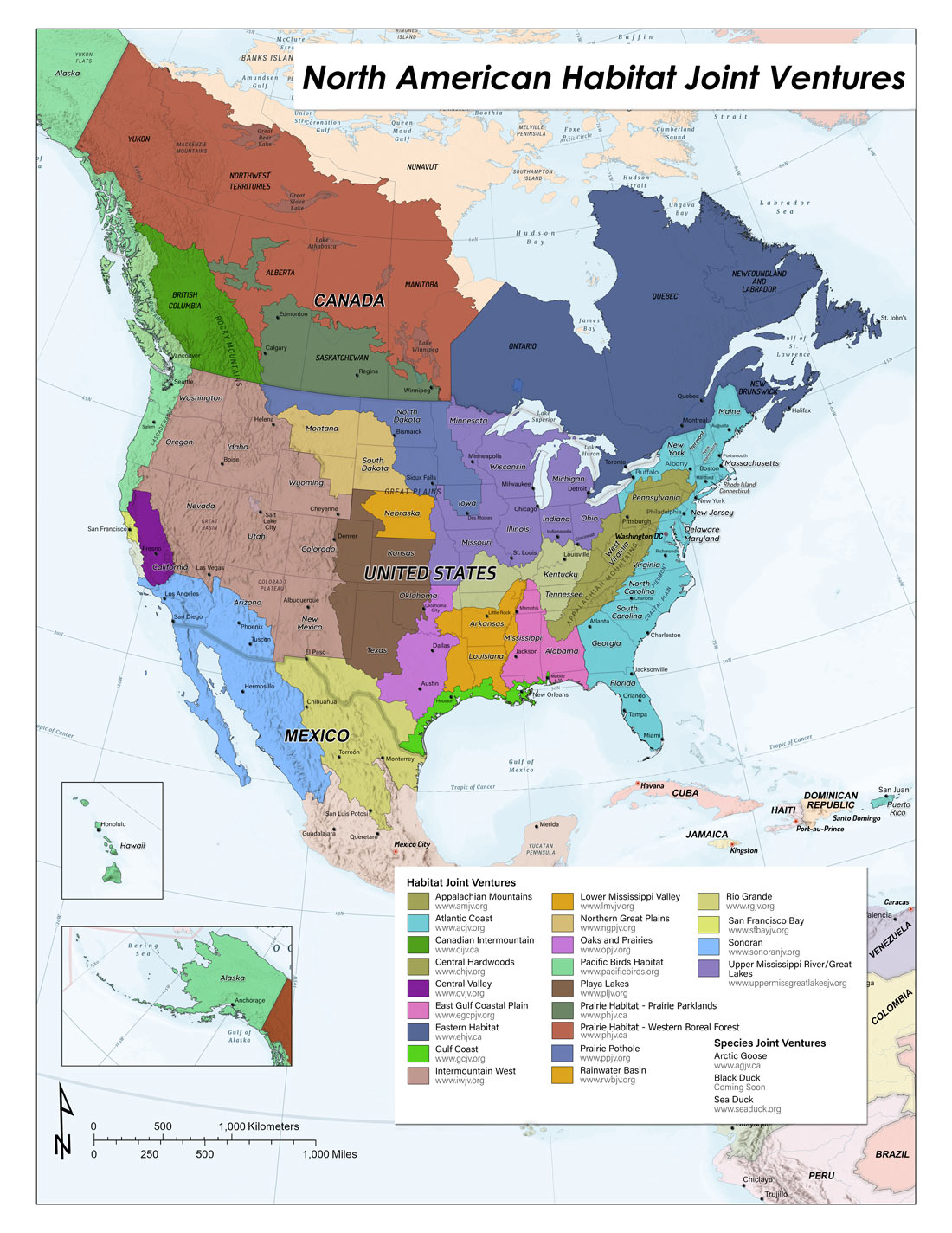 North American Habitat Joint Ventures Map